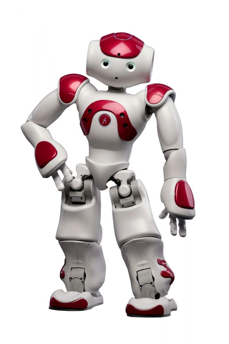 Humanoid robot Nao  Robot rentals