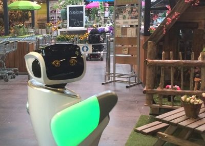 Robot sanbot in retail