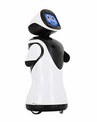 Padbot Reception robot for rent
