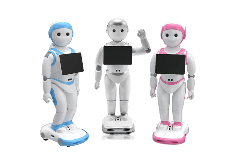 iPal 2 humanoid robot