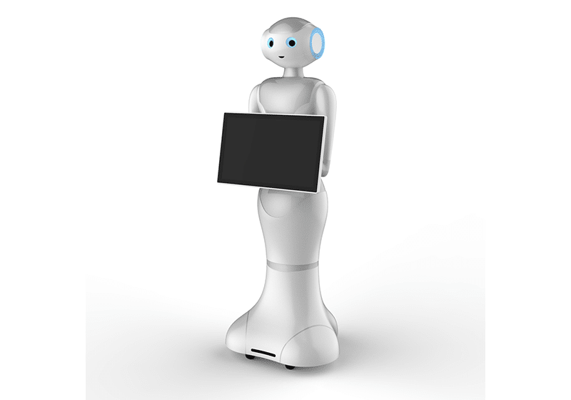 Pepe Autonomous Humanoid Robot